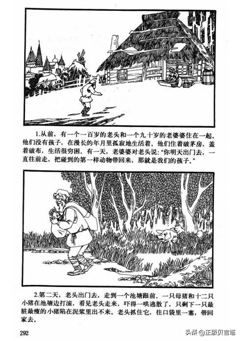 小猪的故事图片
