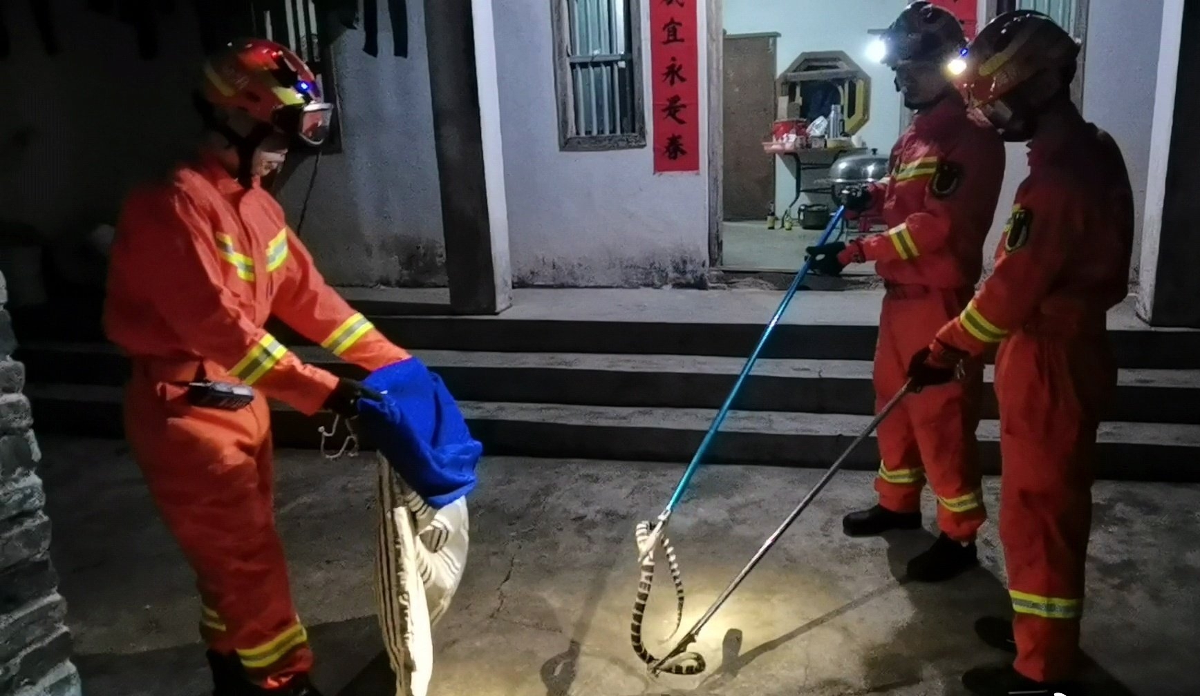 好危险！海南一民宅惊现剧毒银环蛇！毒性是眼镜王蛇的10倍
