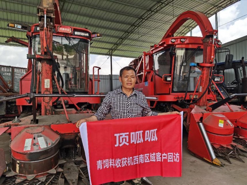 我在重慶種了3200畝、4米高的草，是什么體驗？