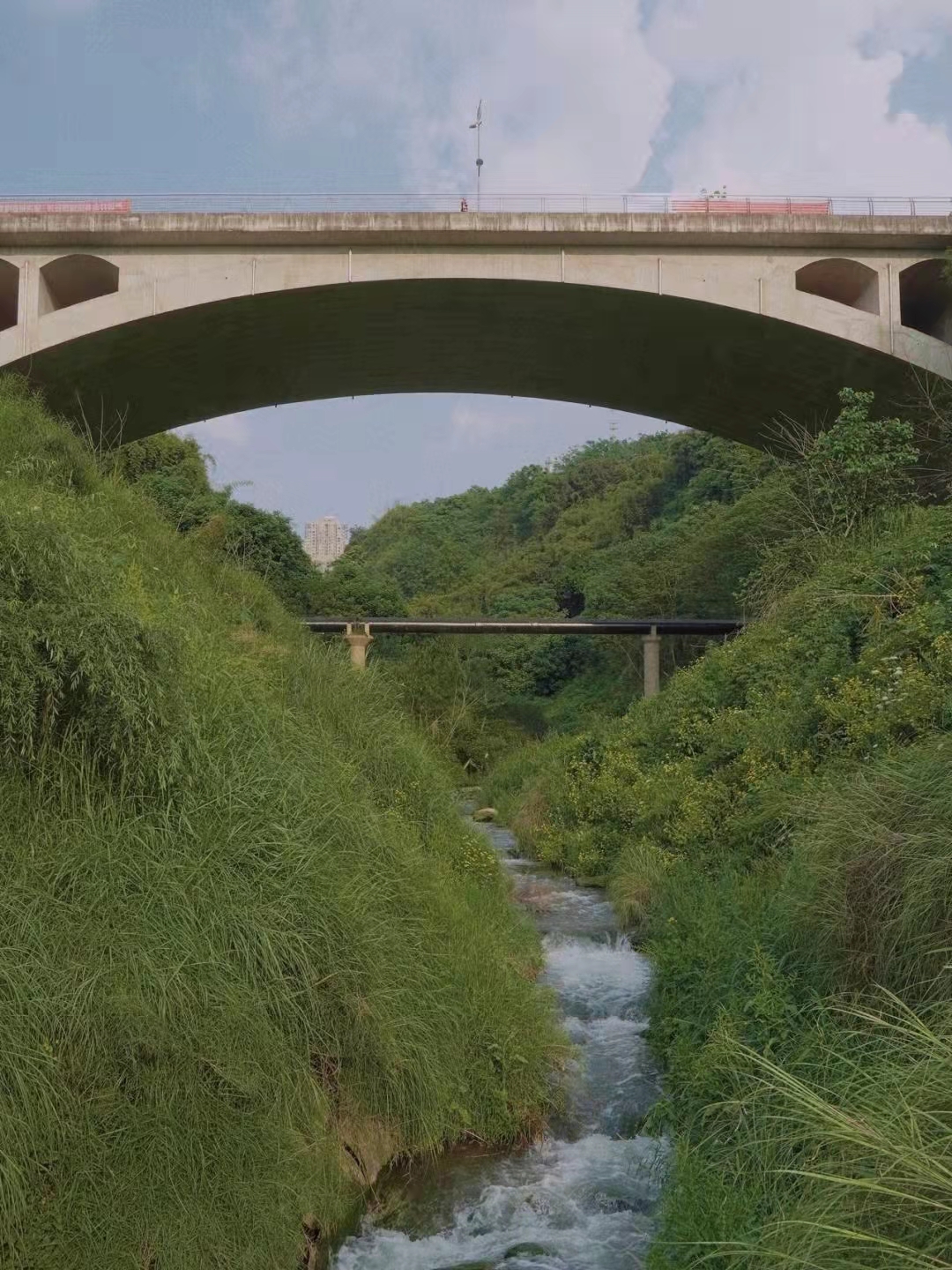 假期好去处！重庆这里野餐、烧烤、垂钓……轨道就可直达