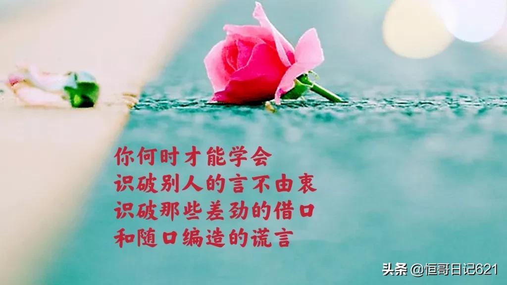 傻女人的可爱瞬间：那些让人又爱又笑的经典语录