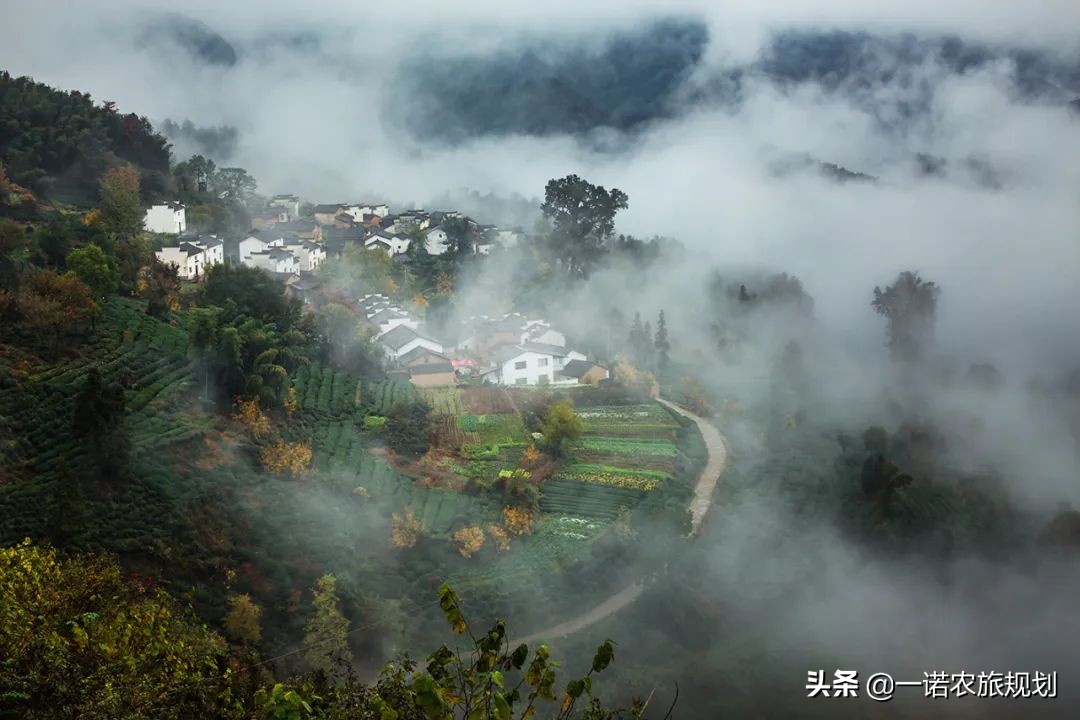 2022年29个乡村振兴补贴项目申报备忘录（收藏版）