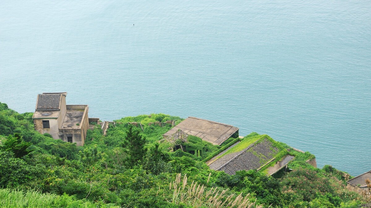 浙江的无人村，被绿色淹没的无人村庄，宛如世外桃源，却鲜有人知