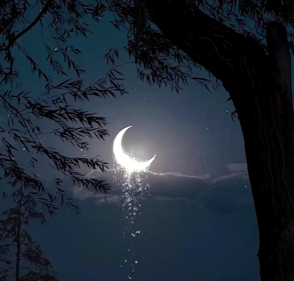 那些适合发朋友圈,抖音的山水唯美文案