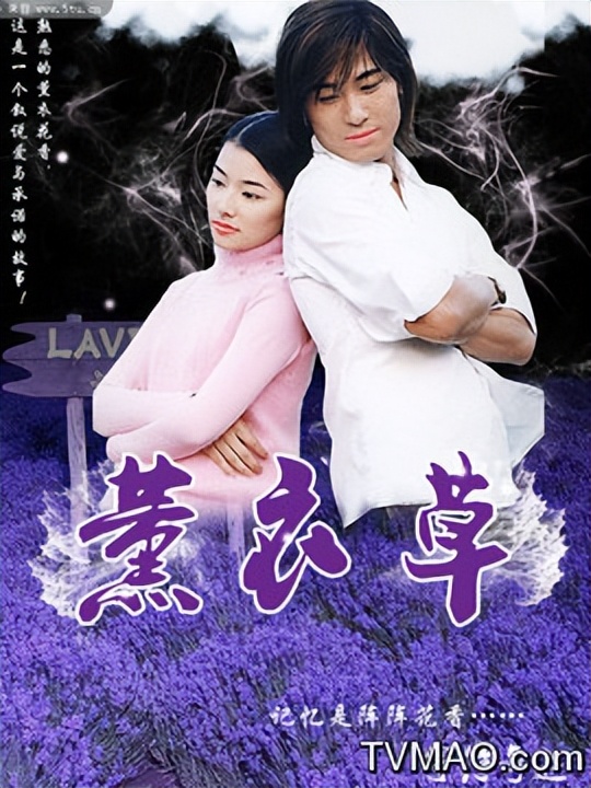 还记得那些年追的台剧吗《流星花园》还是《贫穷贵公子》