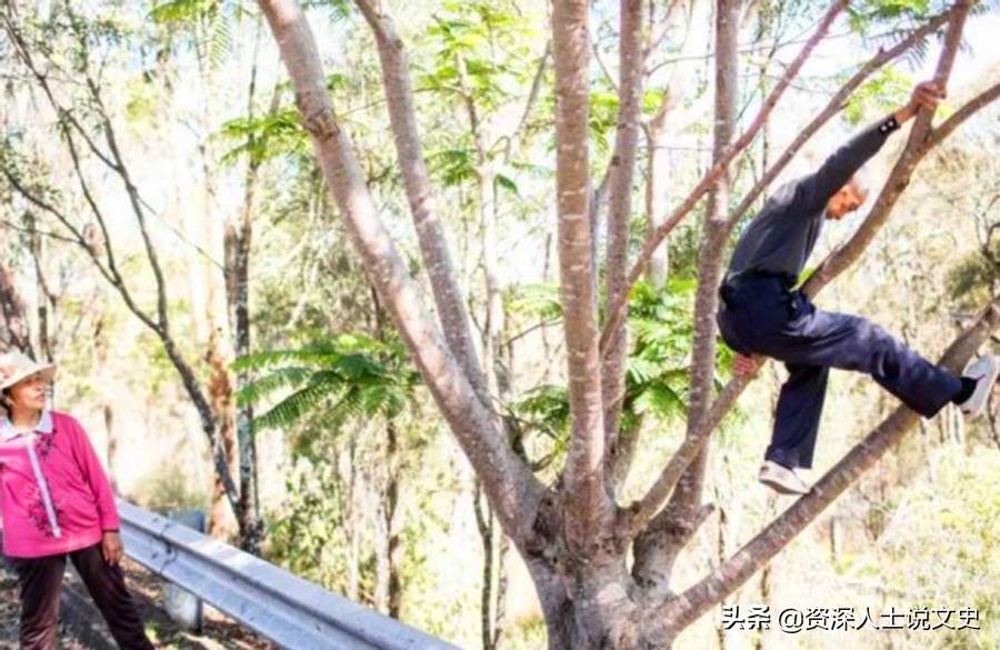 2015年北大学霸将癌症晚期的父亲骗出国，88天后归来，结局很感人