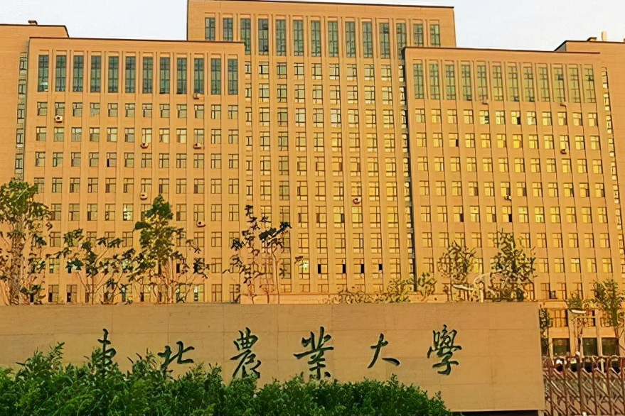 解读2022年最好考的大学需要考多少分？美术统考辽宁查分开通