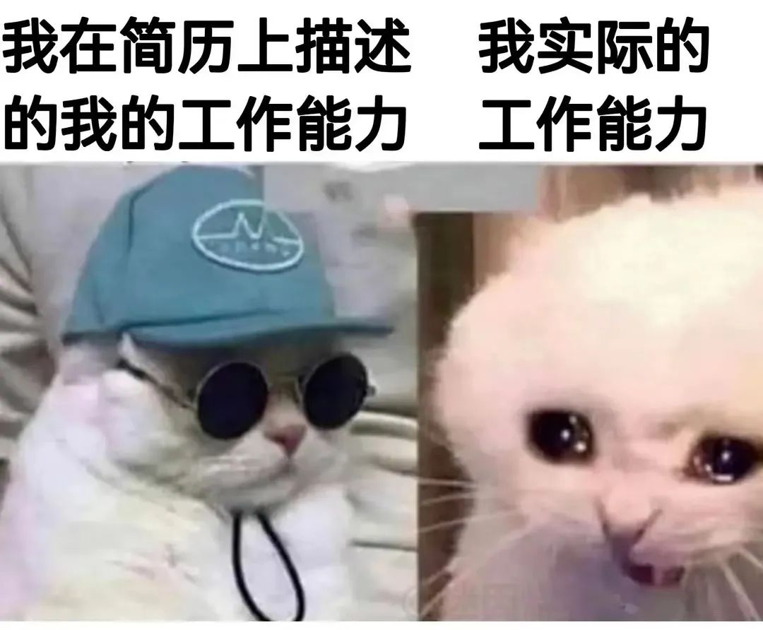 法律转艺术，半年我拿了伦艺4张offer