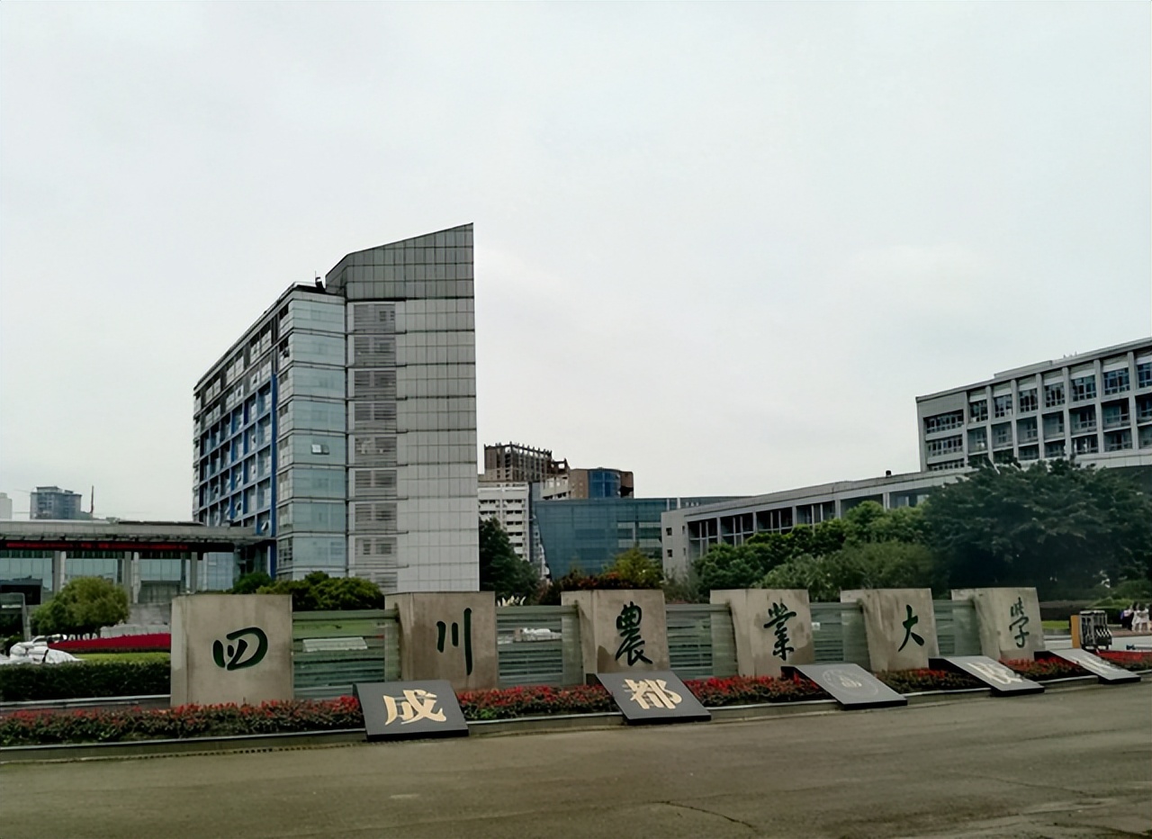 厉害！川农大一女生宿舍全员考研上岸，网友却嘲讽：全是天坑专业