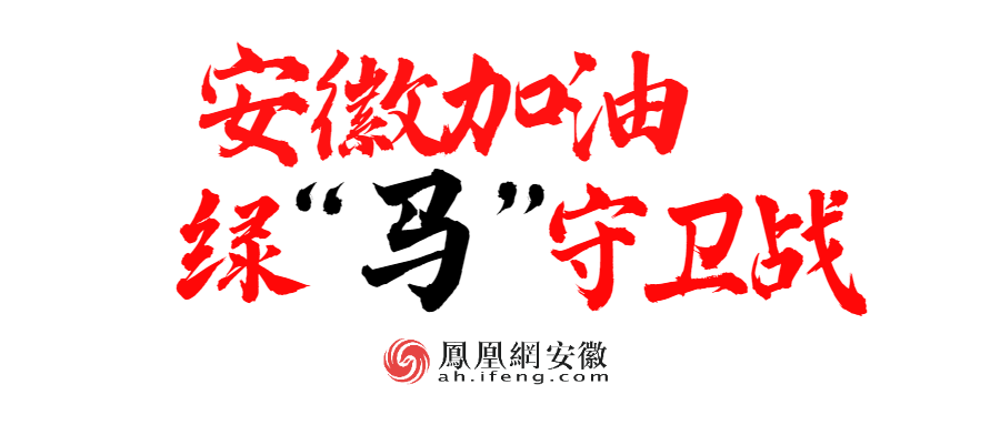 绿“马”守卫战