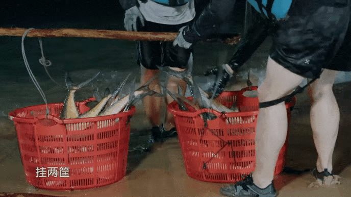 《向往的生活》辟谣使用道具鱼，又是熟悉的套路
