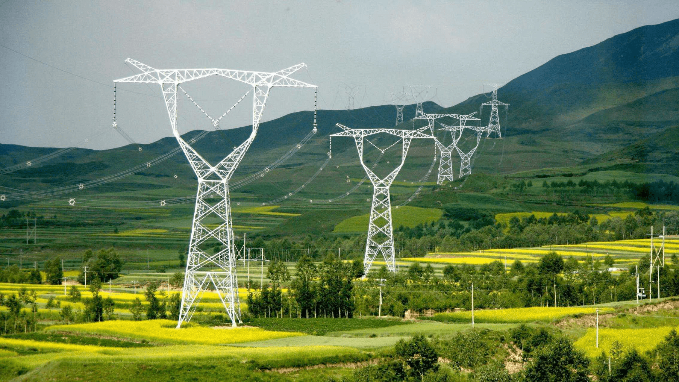 �й�������ȫ���һ��Ϊ�λ��Ӷ���˹���ڣ������к�ԭ��