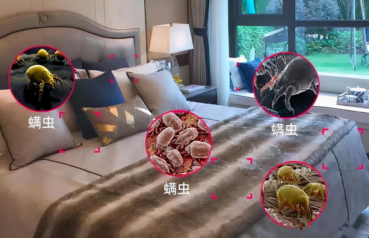 除螨包不仅限于在被子中使用,家里的阴暗角落,容易滋生螨虫的位置都