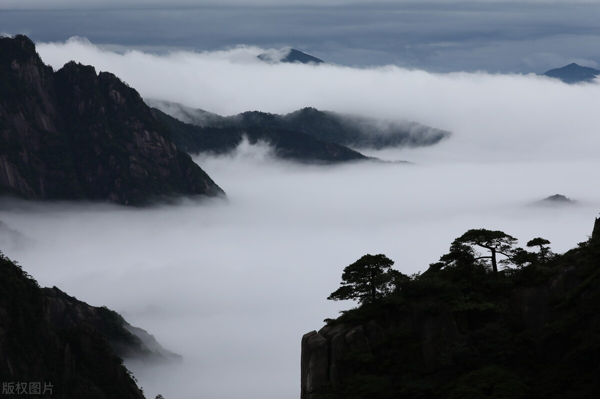 为什么说“黄山归来不看岳”？黄山“四绝”是什么？