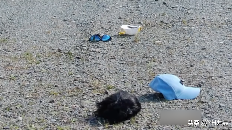 曾轰动美国的银行抢劫案，由于案件设计绝妙，劫匪被抓后成了名人