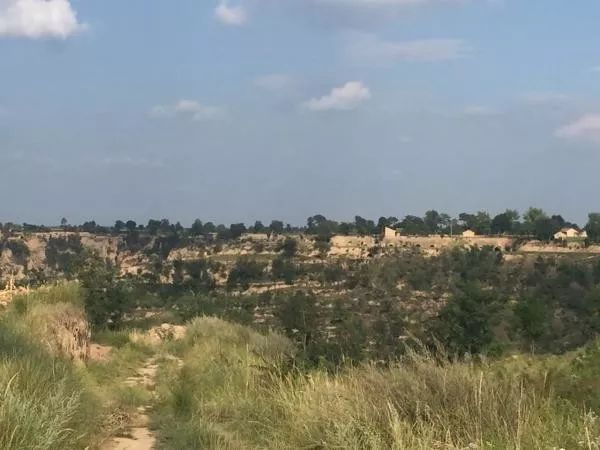 2019年陕西女子下葬12天遗体被盗，5名嫌犯：配阴婚卖给80岁老汉