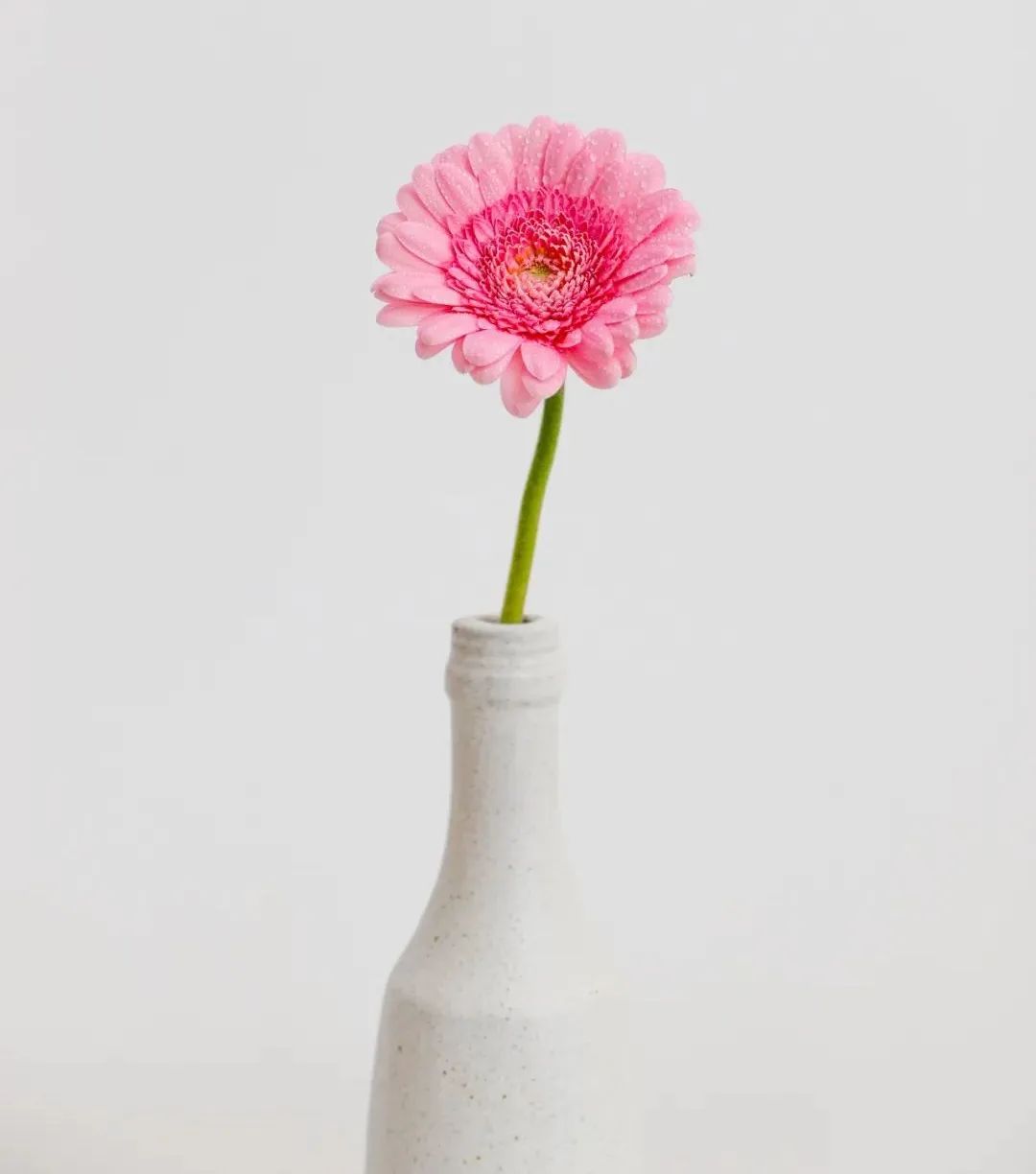 “最丑女星”至今未婚，曝积蓄仅22万：一生孤苦，却用爱点亮人生