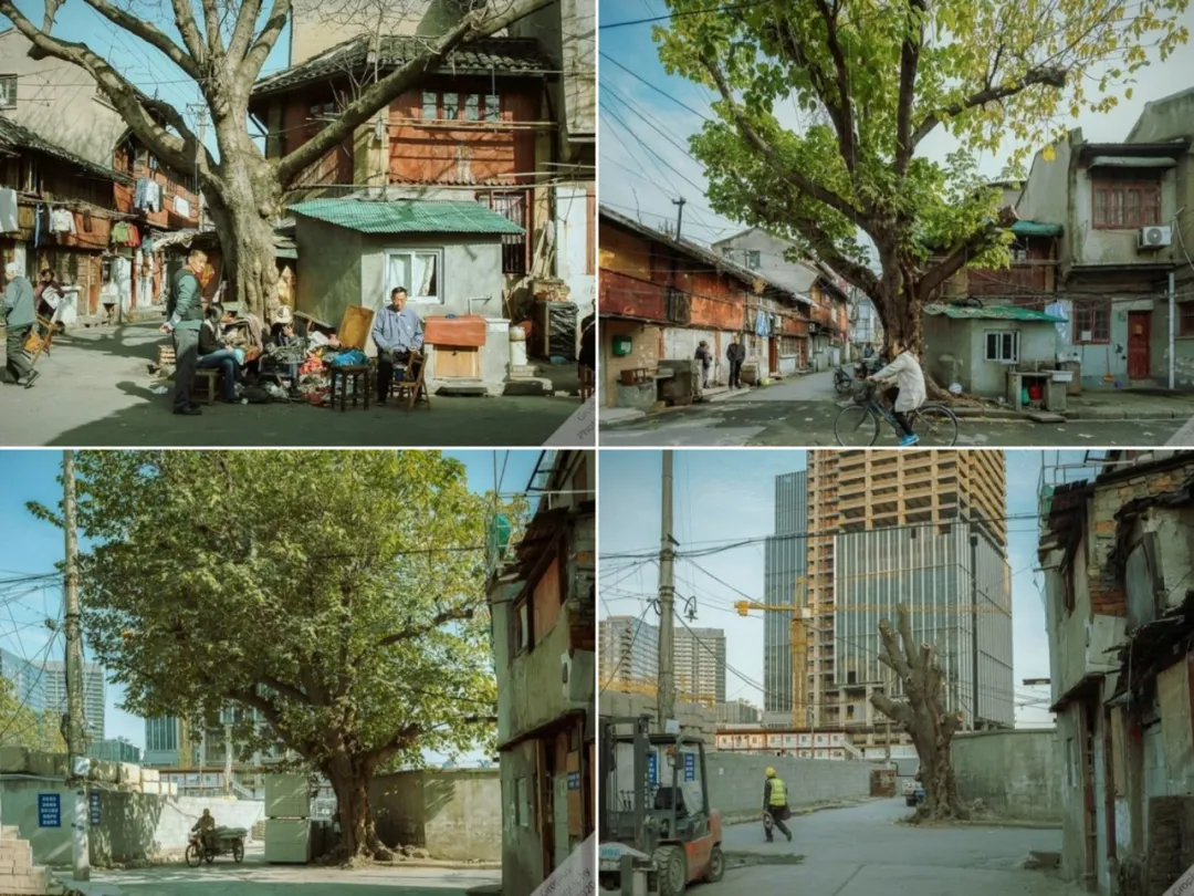 30张过去vs现在的对比照,感受岁月变迁的震撼