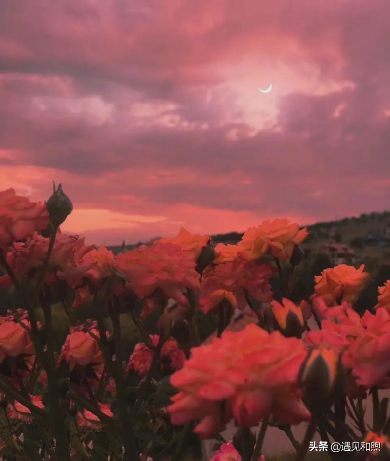 男人这样对你，很可能是想把你当免费“保姆”，要懂得远离