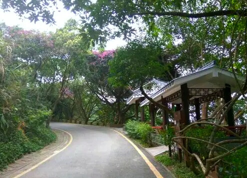 深圳这22个地方真美，可以徒步穿越，看海，地铁直达，无门票