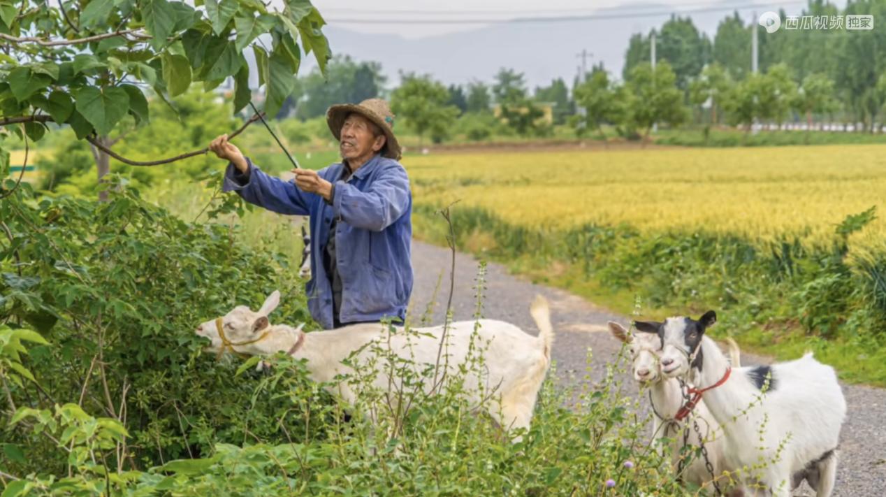 暖心又治愈！小伙进深山拍下百张老人笑脸 引175万网友在线围观