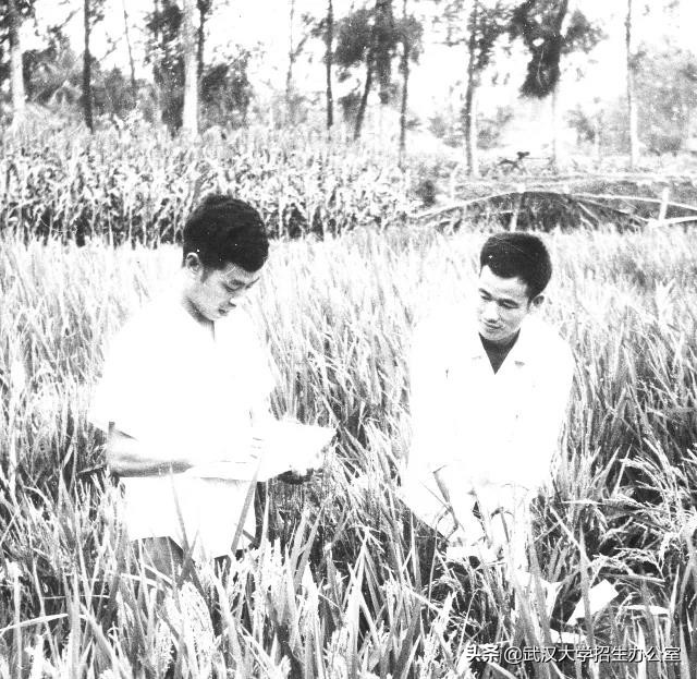 从农村娃到院士，他取得重大成果，获国家科技进步特等奖，总书记前来看望！