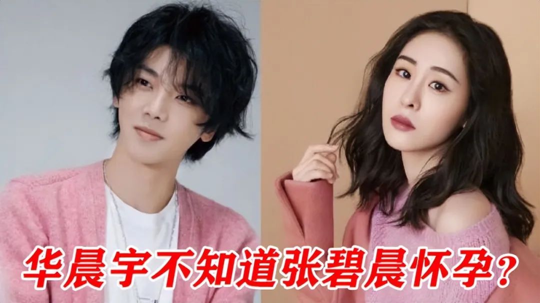 张碧晨太惨了，偷偷给顶流生孩子，没名没份还被网暴