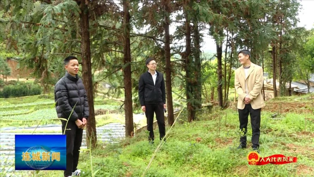 「人大代表風(fēng)采」巫晨民：凝聚青春力量 助力鄉(xiāng)村振興