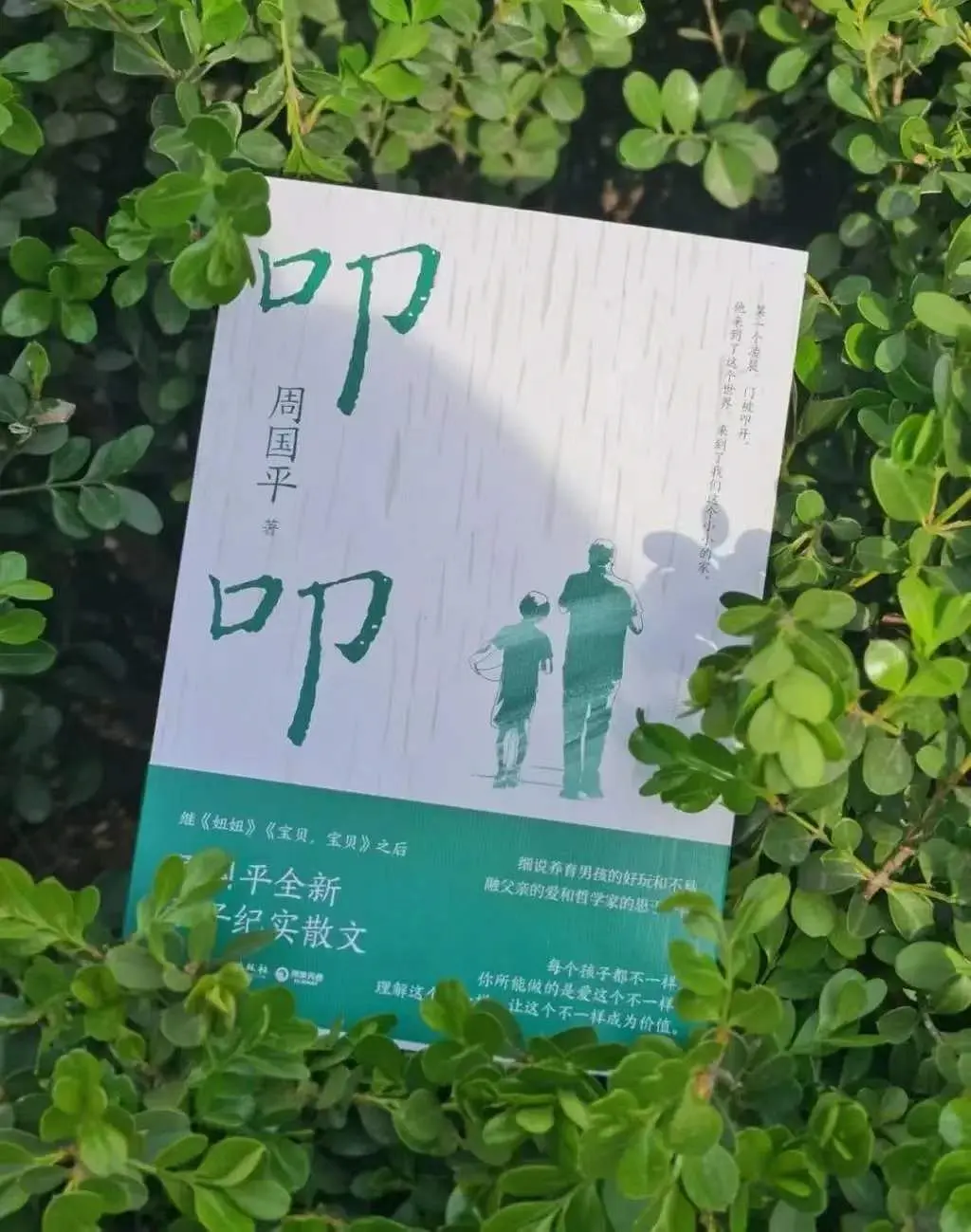 跟周国平学习,如何养育男孩