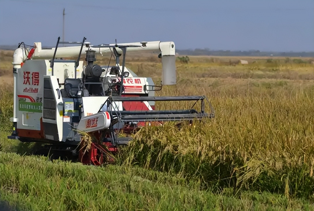 绿色农业市场规模或达6万亿元；区块链技术：如何赋能农产品