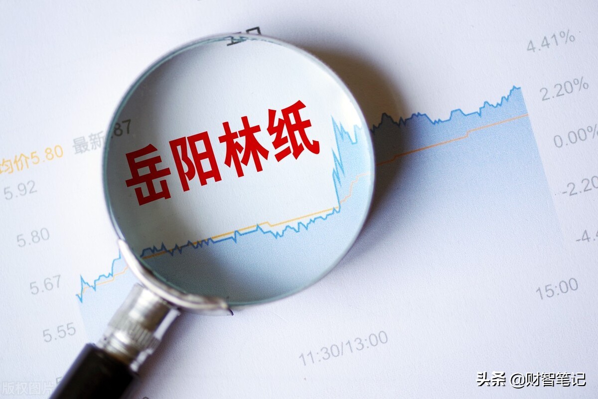 中国造纸业顶尖的五大龙头企业