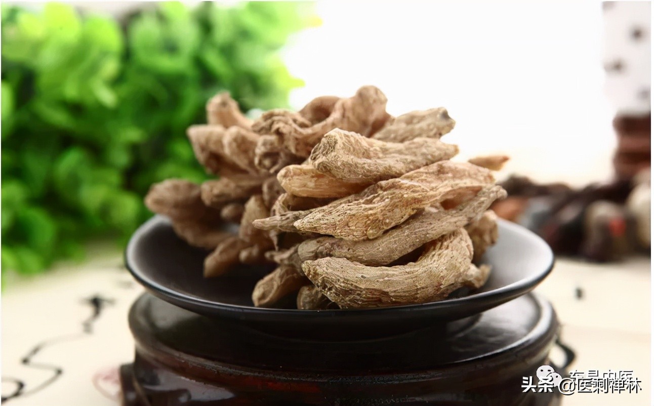 天麻叶子图片（天麻药物的功效和作用介绍）