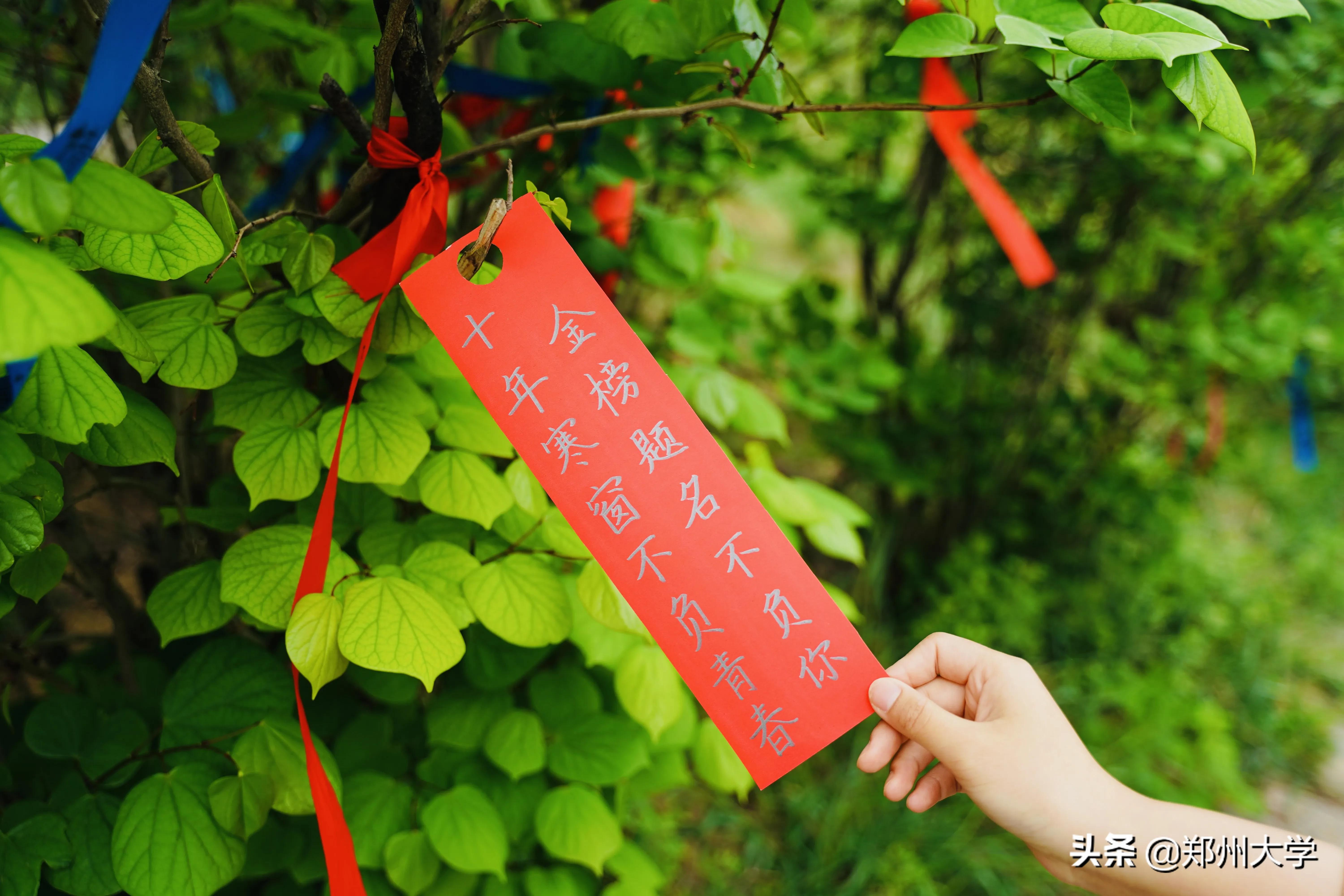 高考倒计时50天！请收下来自郑大厚山的祝福！