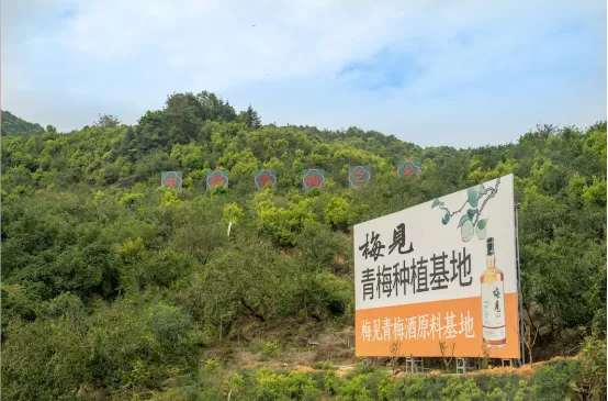 年復合增速35%，市場規模將達2500億，將是未來10年的投資風口