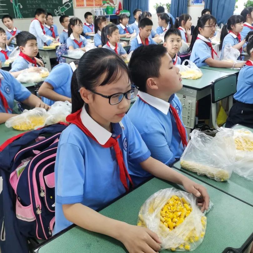 发扬劳动精神 争做先锋少年｜记川大西航港实小劳动技能大赛活动
