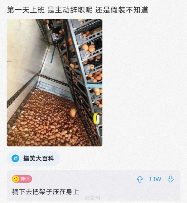 “本人姓连，宝宝快出生了该起个什么名字？”这届网友太坏了