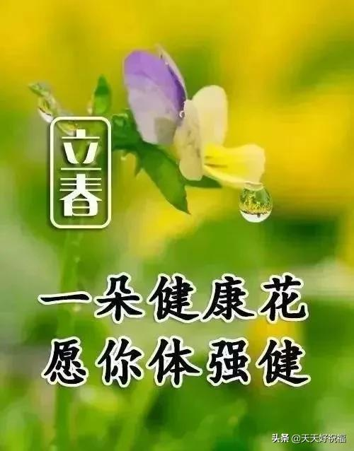 立春，祝福问候早送上，致我的亲人朋友