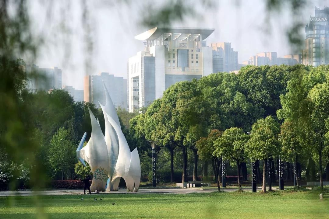 全职院士“坐镇”，成果打破国外垄断！湖北这所名校“霸气走红”