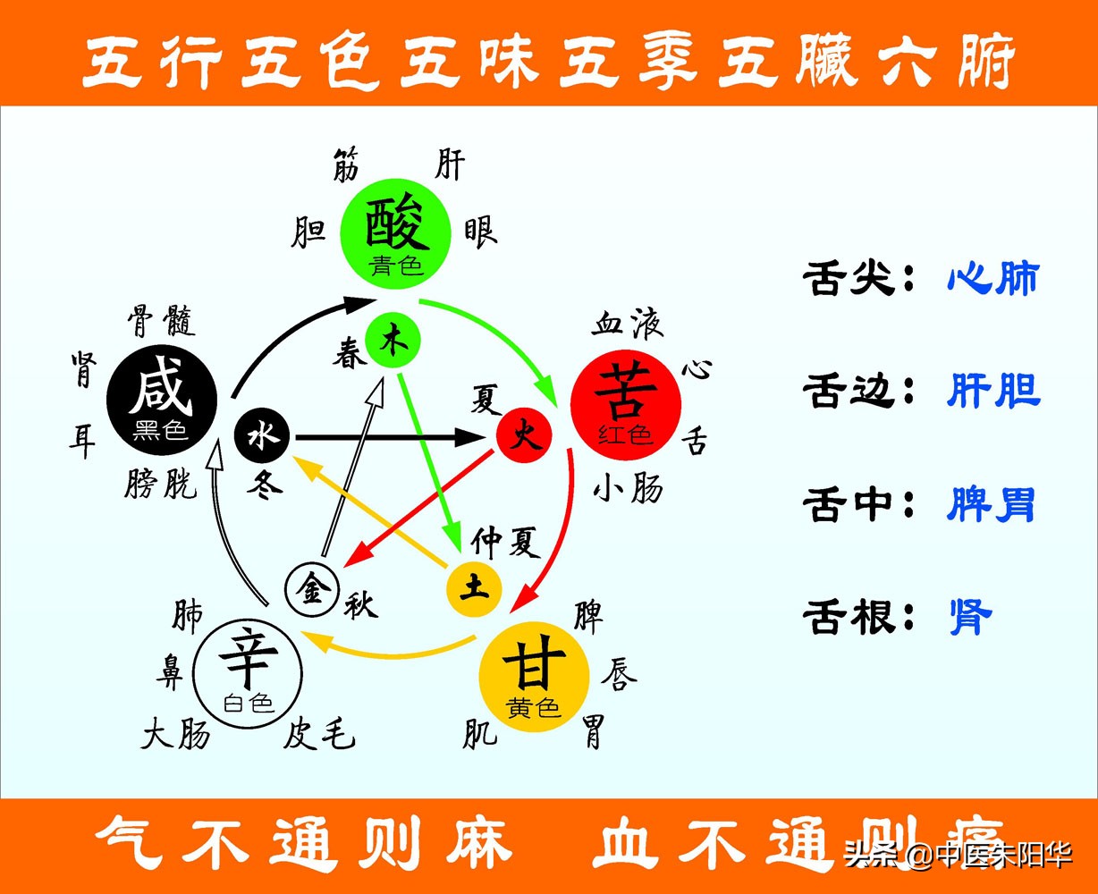 不懂五行就不懂中医，不懂中医就不懂中国文化，你又了解多少