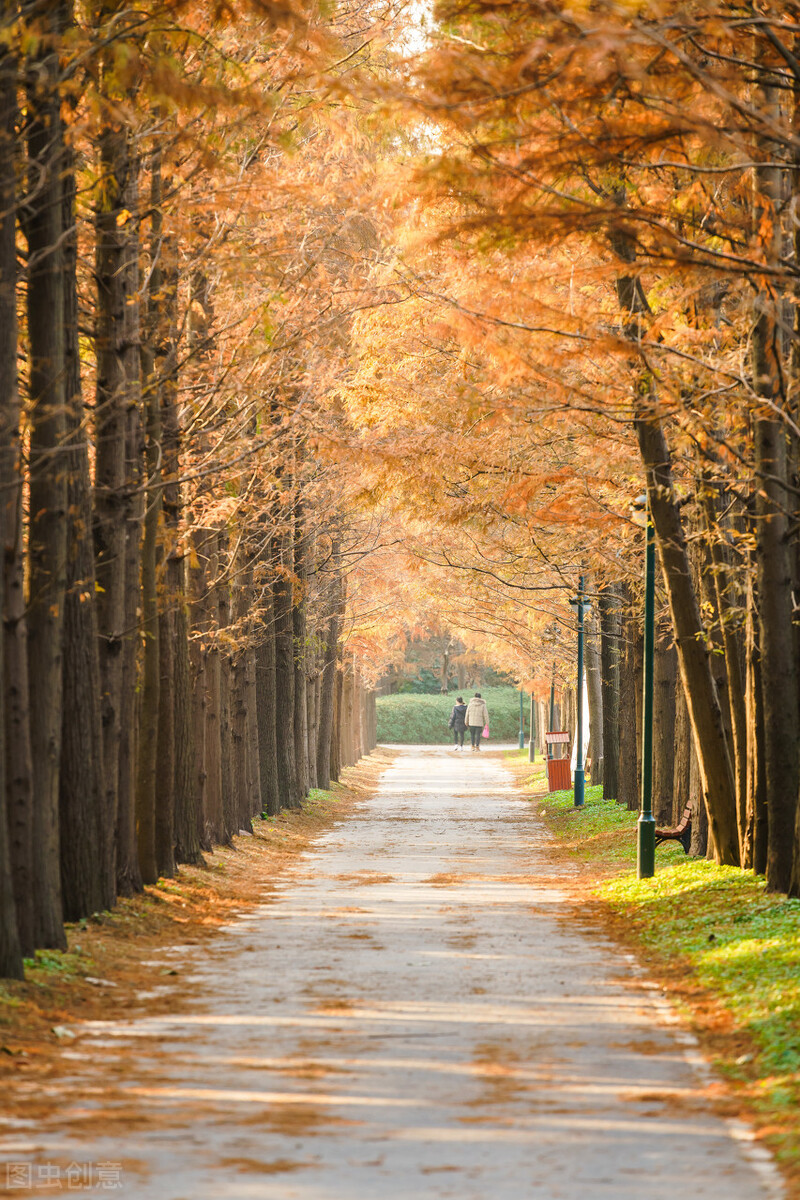 给不会制定生活或工作规划的一些建议