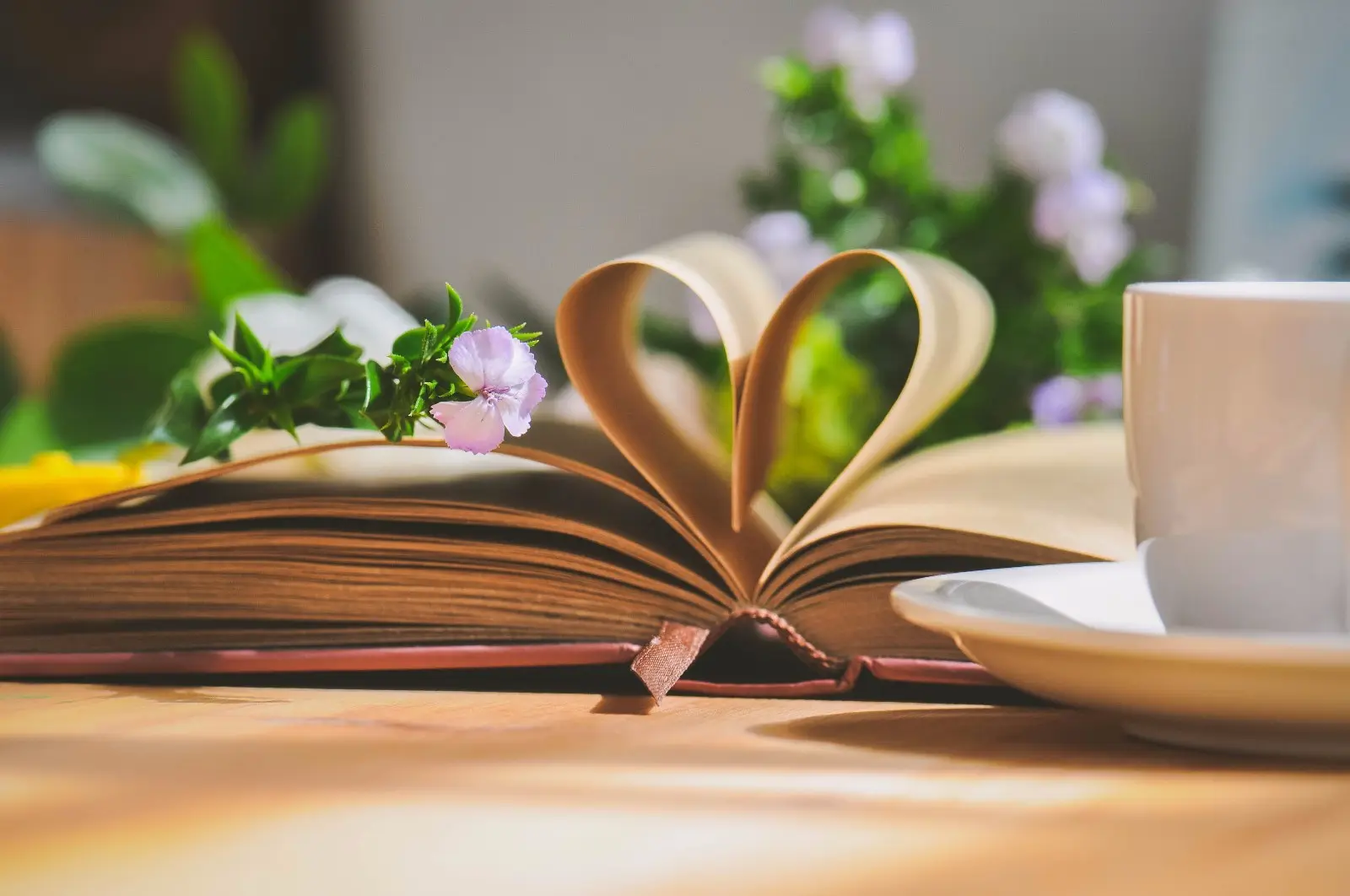 大学生就业困难，孩子是否应早早地出来工作？这篇文章都会告诉你