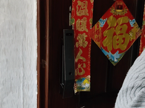 8种开锁体验，居家安防选择VOC人脸识别智能门锁T11 Face更放心