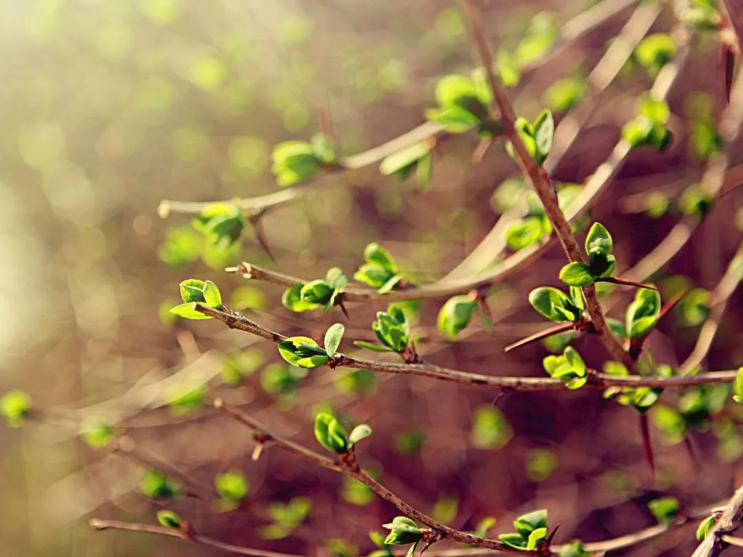 侯<a href=http://www.cngansu.cn/news/ target=_blank class=infotextkey></a>ܶӡӪ̨ • ߹¡ɫ԰Ƿ﷫ʱ