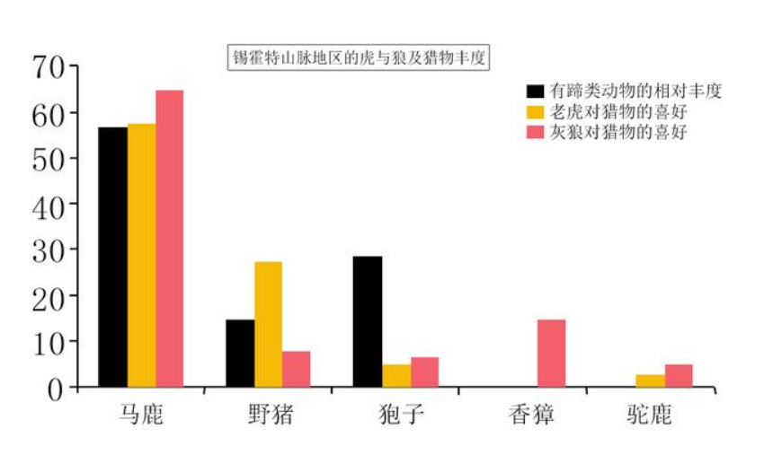 男子遇拦路东北虎，相距仅5米，对视1分钟后离开，攻击人怎么办？
