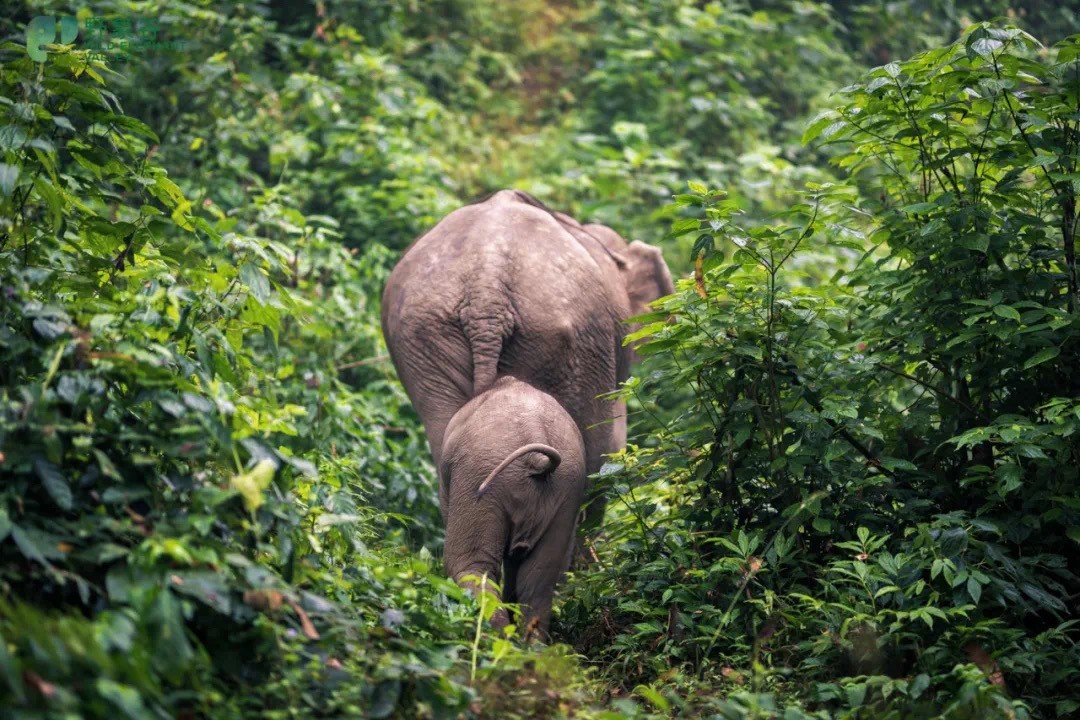 走近中老铁路⑦