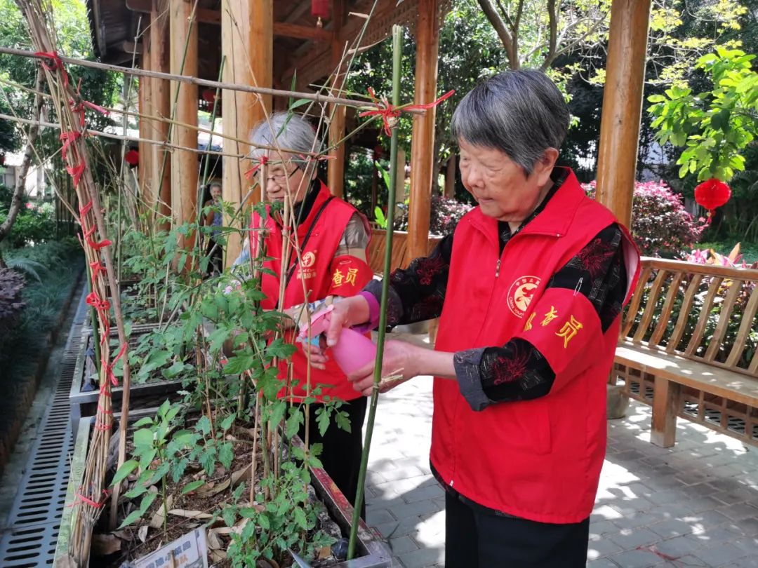 揭秘：国德小菜园为何惹人爱？