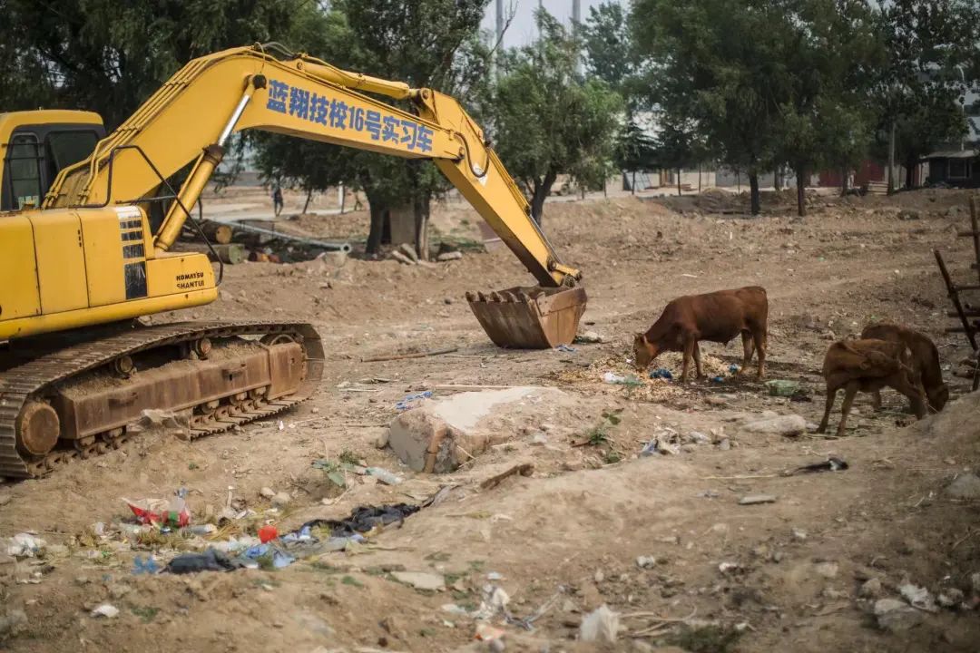 蓝翔校长前妻再举报，十年恩怨为何难解？