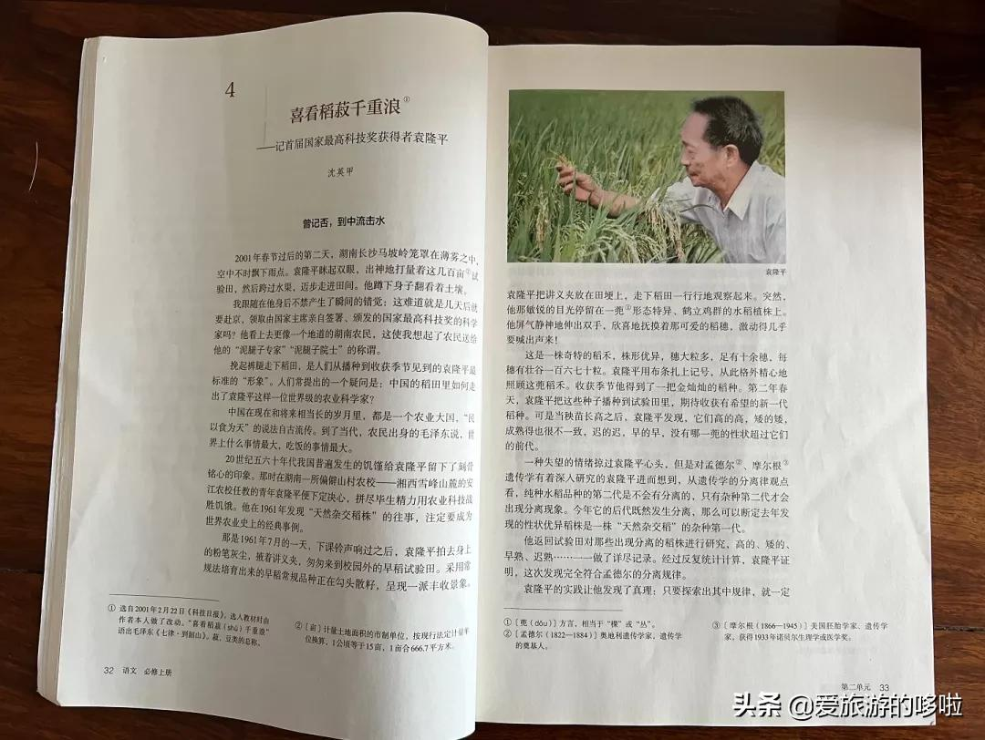 榆钱饭课文（那些年我们为课文流过的口水）