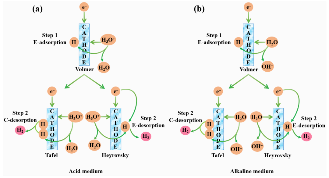 唐青/江德恩｜HER理论研究进展及其在活性位点识别中的应用