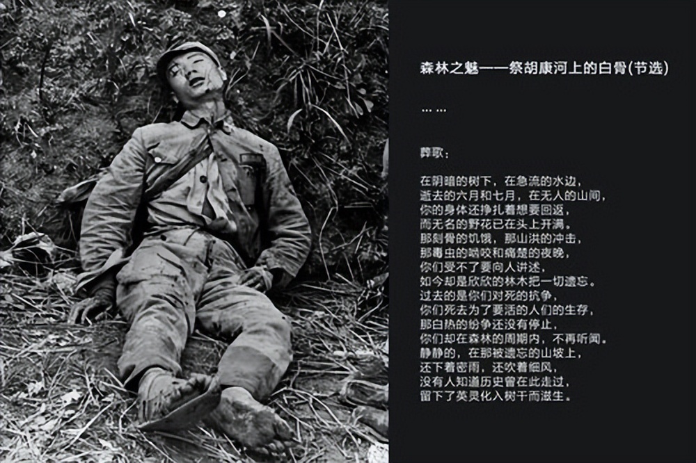 1942年3万远征军死在野人山，唯一幸存的女兵：狼咬断同伴颈动脉